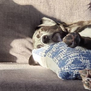 Meet your Posher, Charles-alexandre